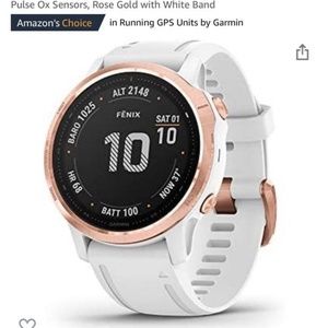 Garmin Fenix 6s Watch